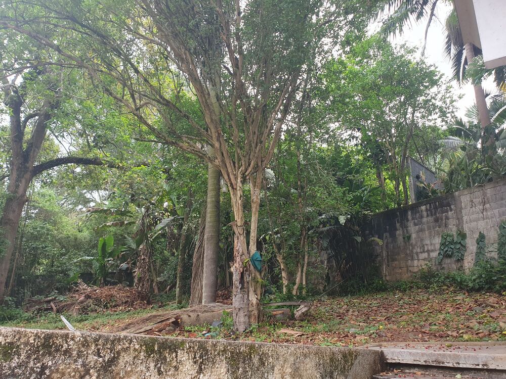Terreno, 3600 m² - Foto 15