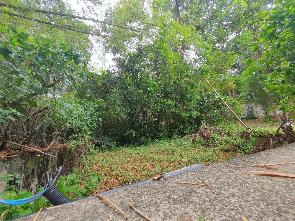 Terreno, 3600 m² - Foto 33