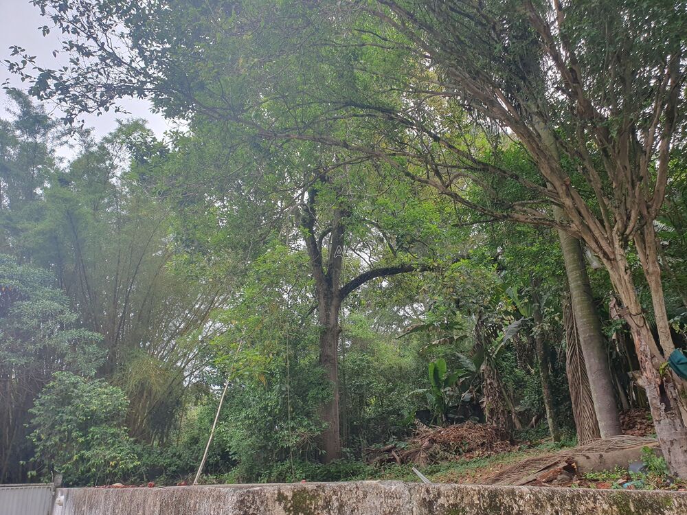 Terreno, 3600 m² - Foto 16