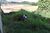 Terreno, 220 m² - Foto 6