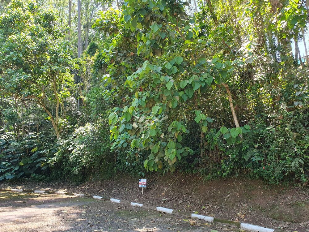 Terreno, 2592 m² - Foto 10