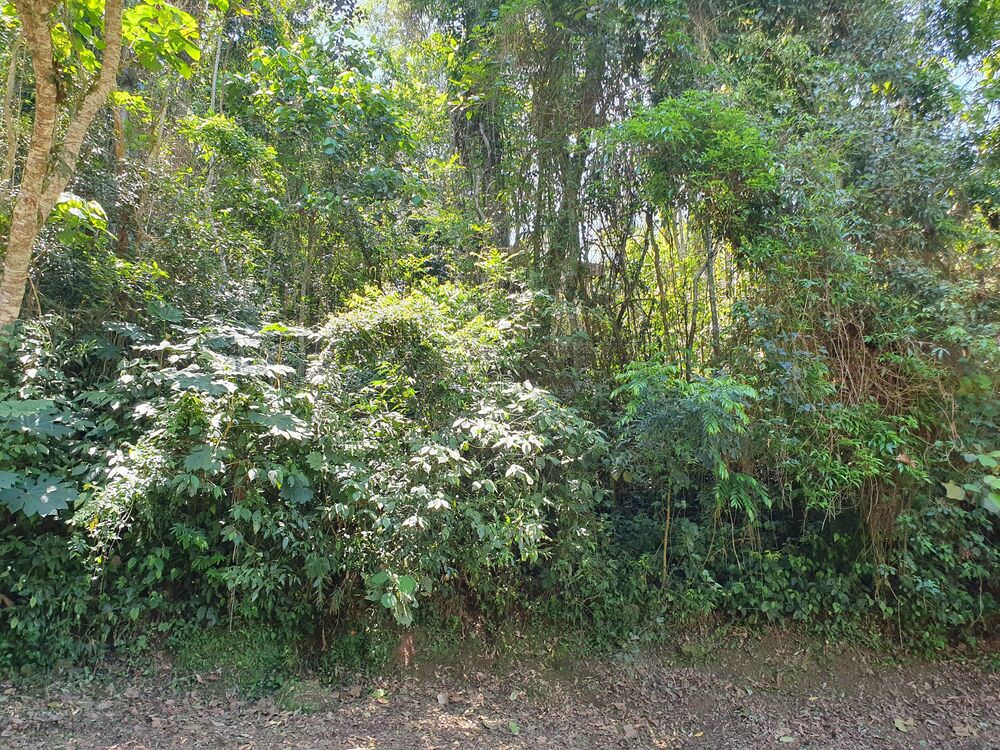 Terreno, 2592 m² - Foto 7