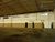Depósito-Galpão, 4000 m² - Foto 2