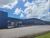 Depósito-Galpão, 6000 m² - Foto 3