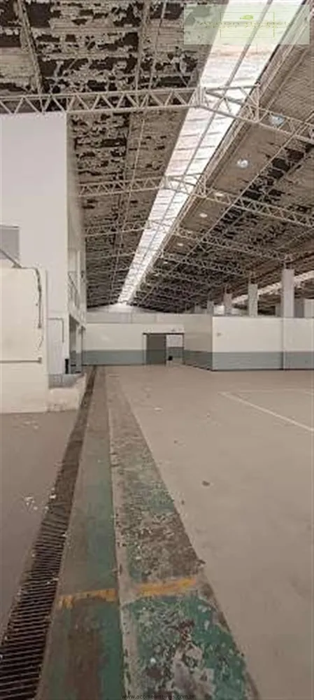 Depósito-Galpão, 5300 m² - Foto 13