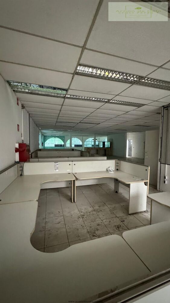 Depósito-Galpão, 3850 m² - Foto 2