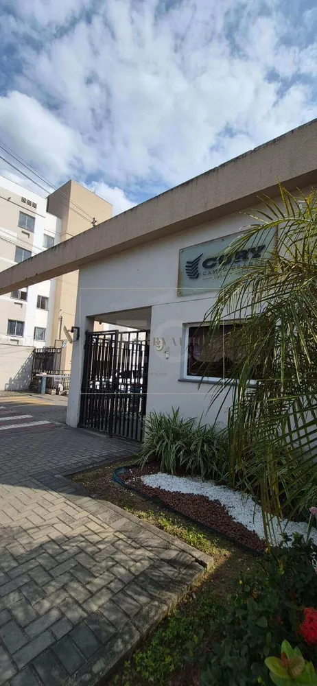 Apartamento, 2 quartos, 43 m² - Foto 9