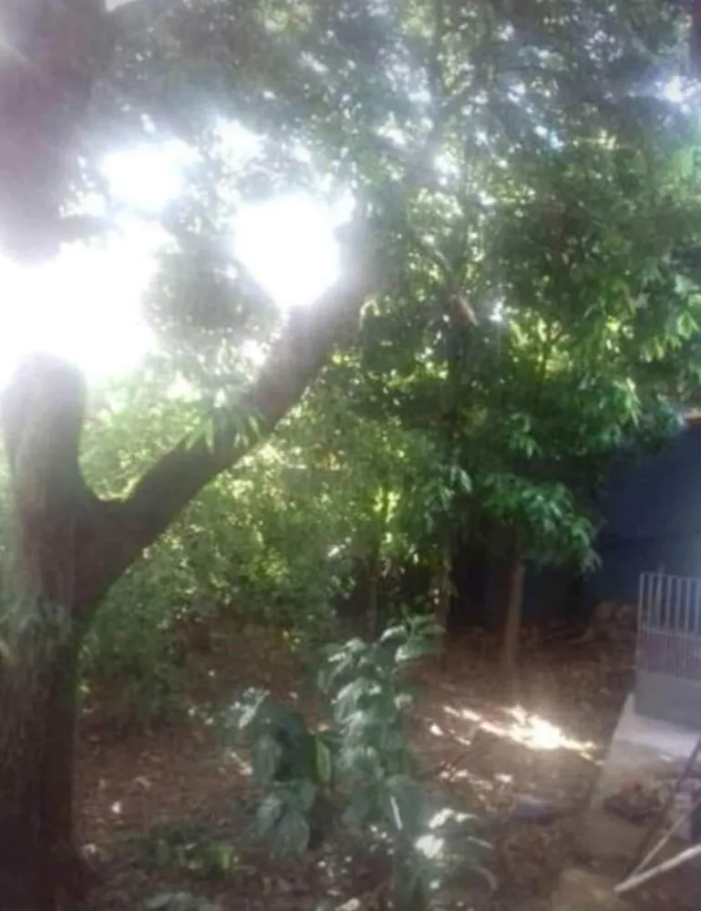 Casa, 6 quartos, 648 m² - Foto 11