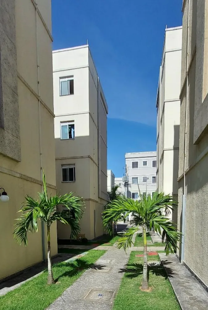 Apartamento, 2 quartos - Foto 12