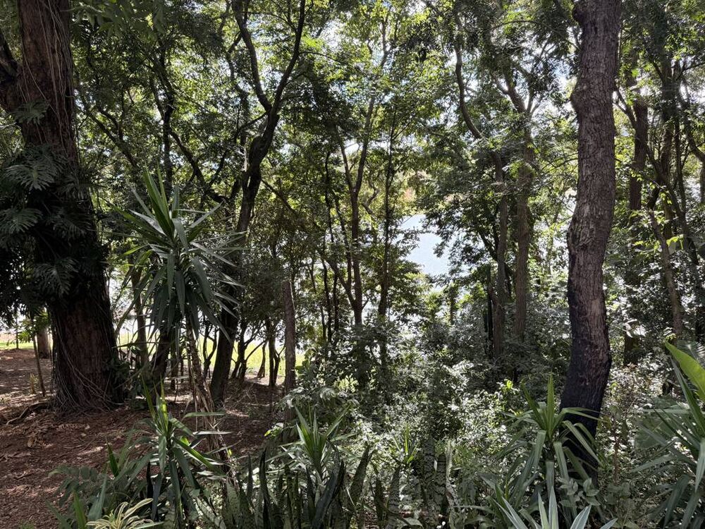 Chácara, 3 quartos, 1200 m² - Foto 23