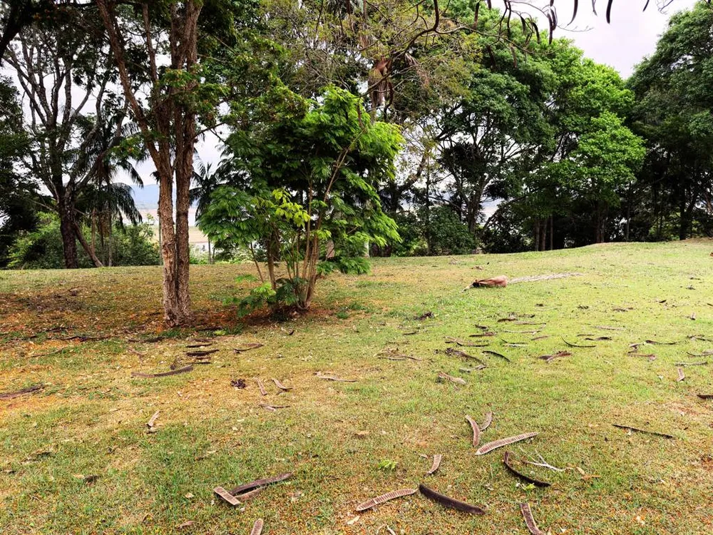 Terreno, 1000 m² - Foto 2
