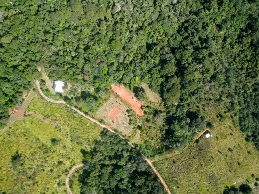 Terreno, 2 hectares - Foto 10