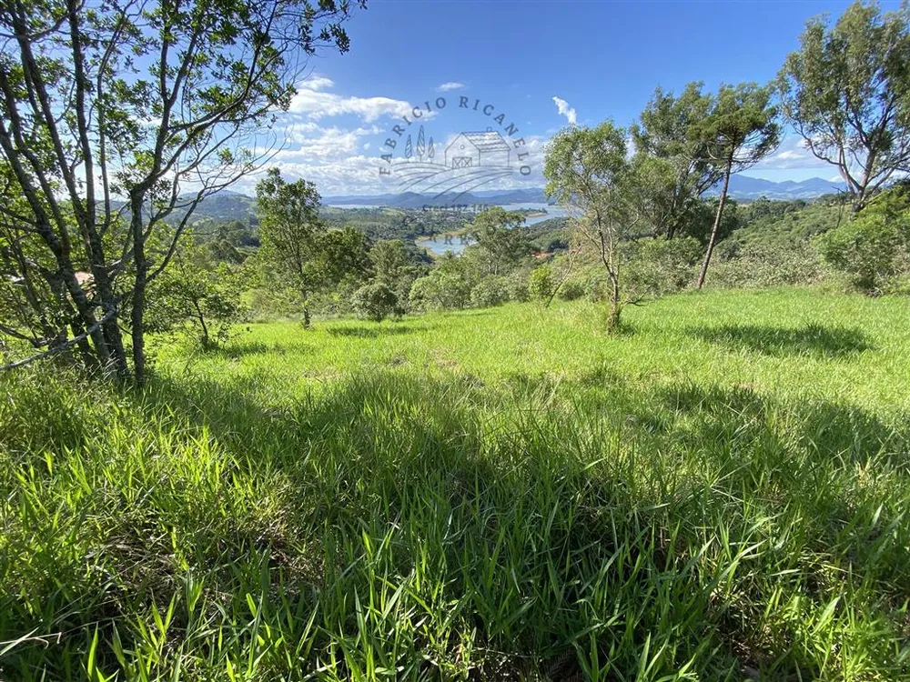 Terreno, 2 hectares - Foto 6