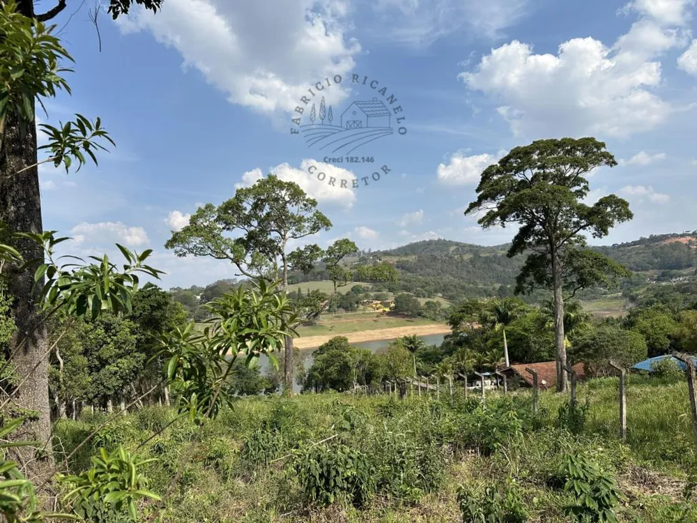 Terreno, 3000 m² - Foto 5