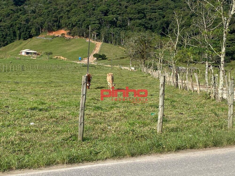 Terreno, 4 hectares - Foto 5