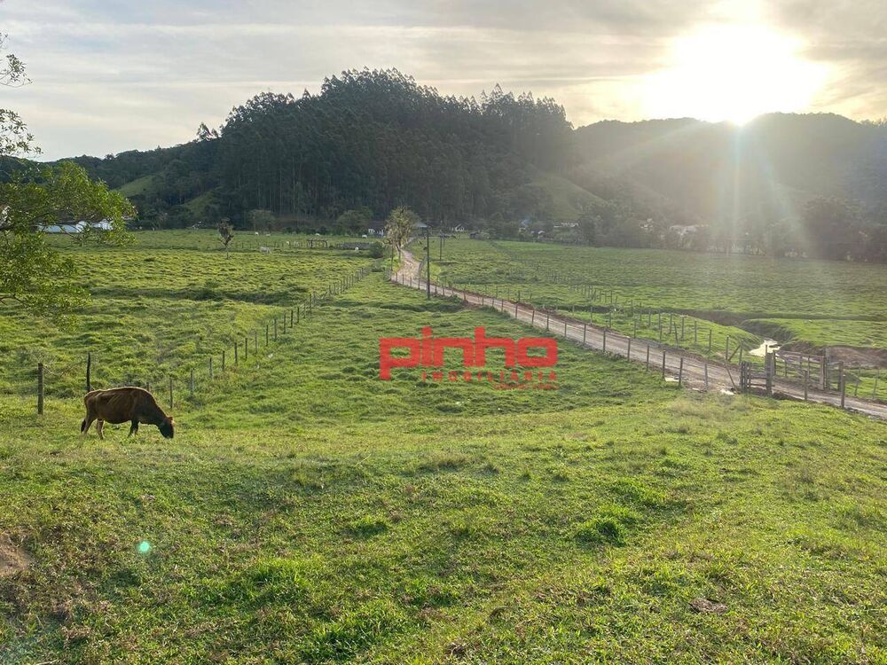 Terreno, 4 hectares - Foto 1