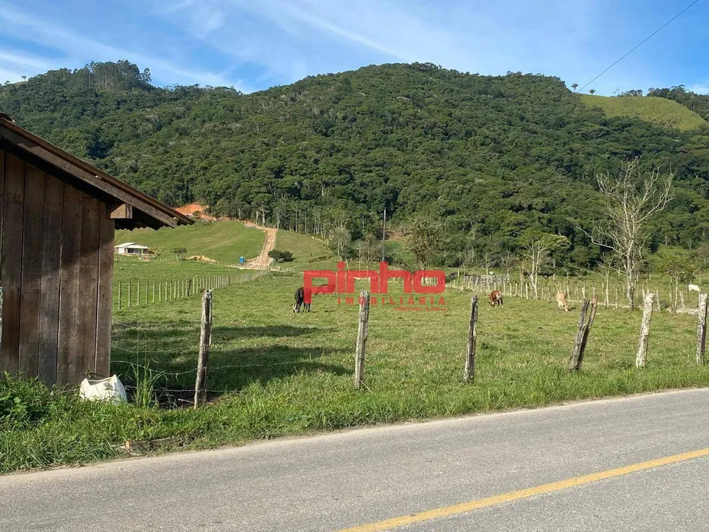 Terreno, 4 hectares - Foto 15