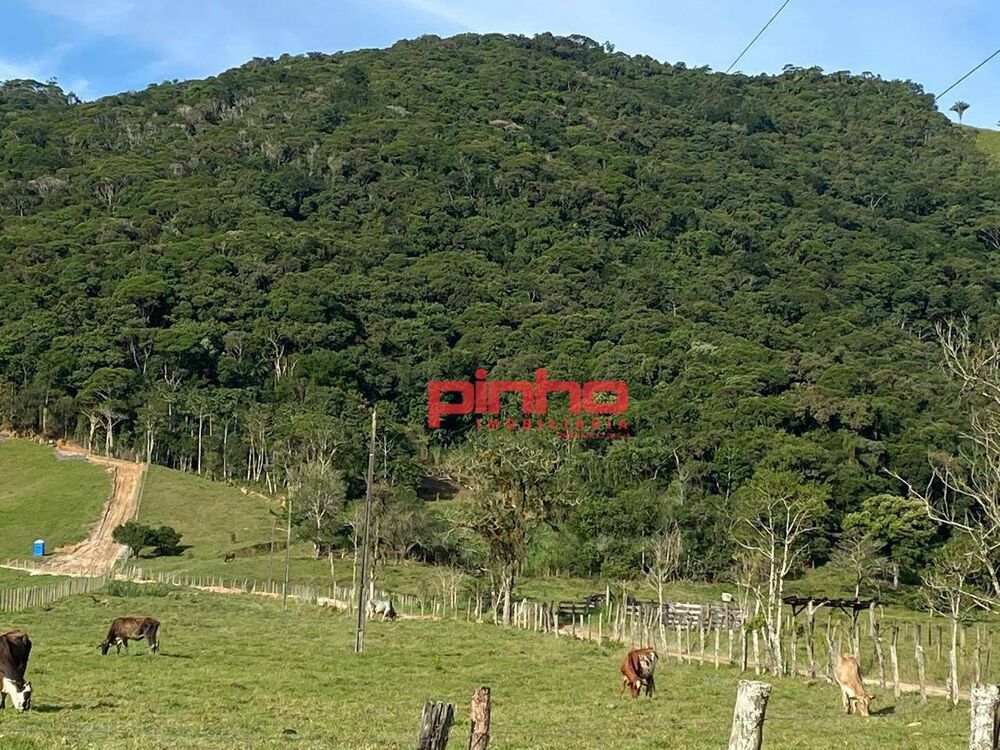 Terreno, 4 hectares - Foto 8