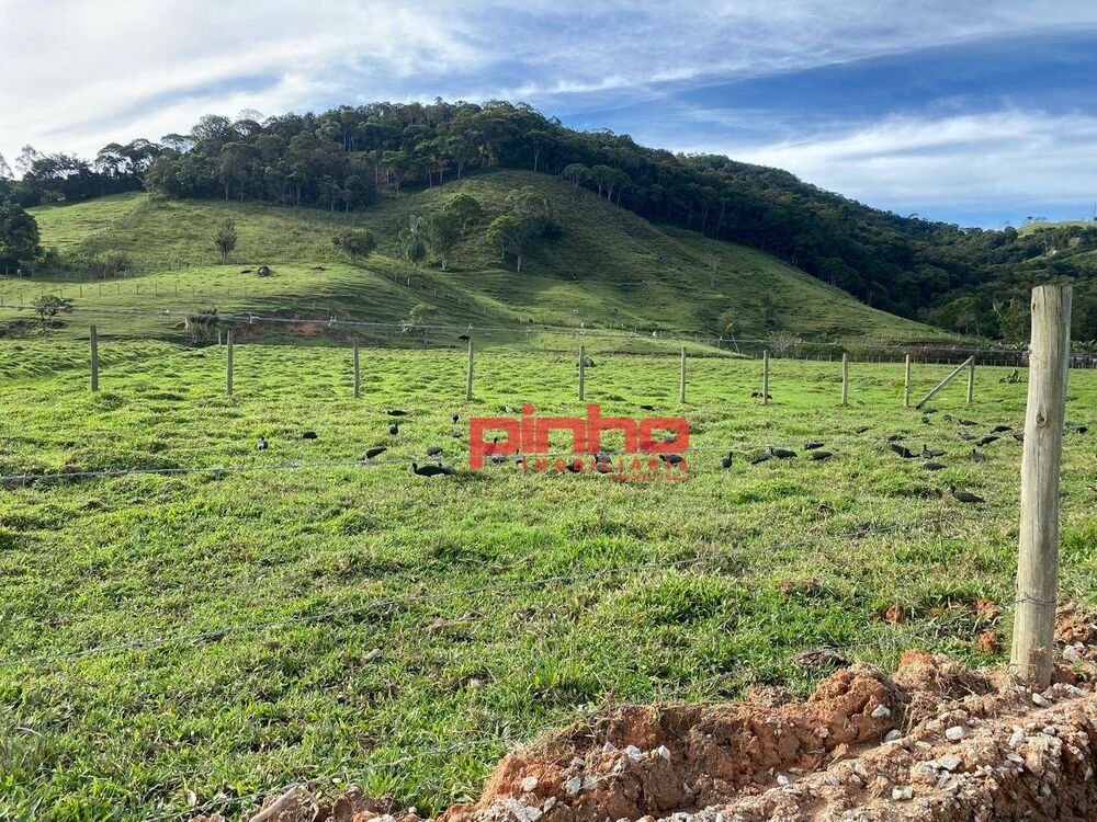 Terreno, 4 hectares - Foto 4