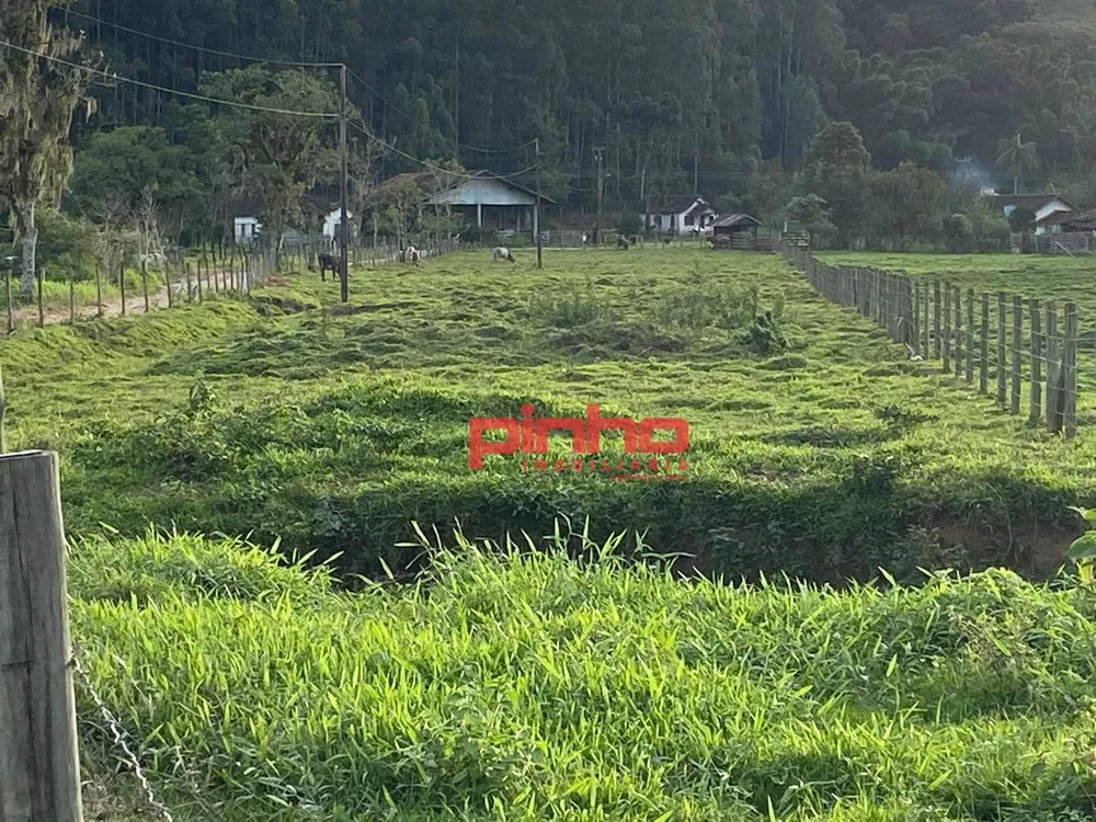 Terreno, 4 hectares - Foto 13