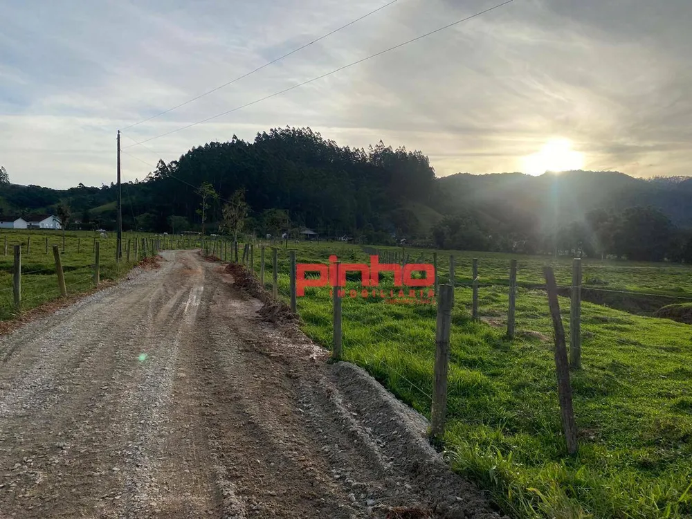 Terreno, 4 hectares - Foto 12