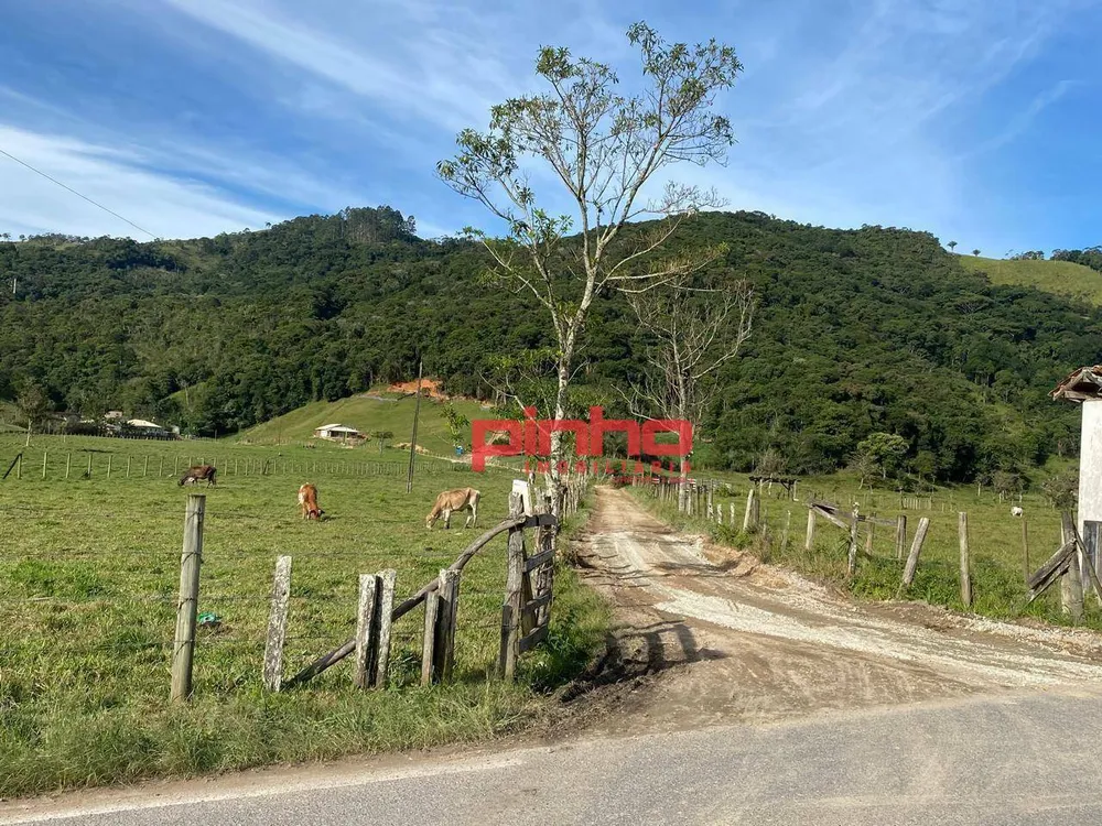 Terreno, 4 hectares - Foto 10