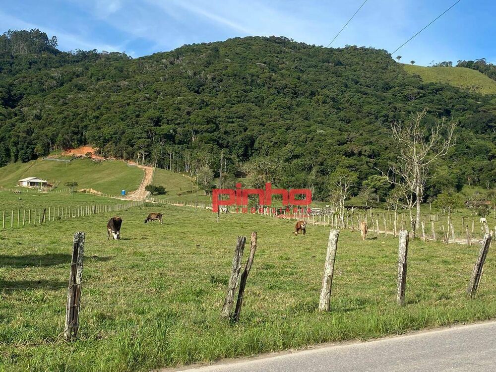 Terreno, 4 hectares - Foto 7
