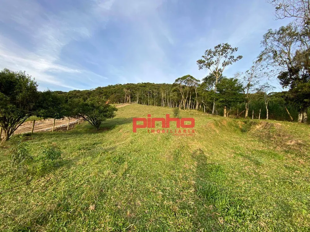 Terreno, 4 hectares - Foto 9