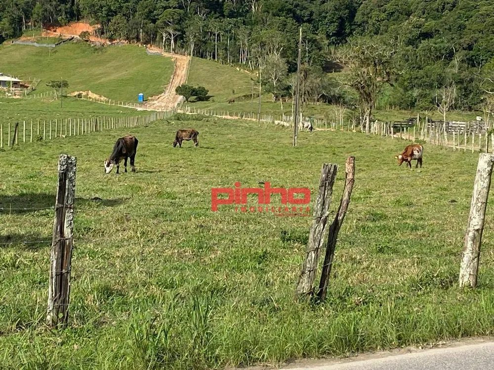 Terreno, 4 hectares - Foto 14