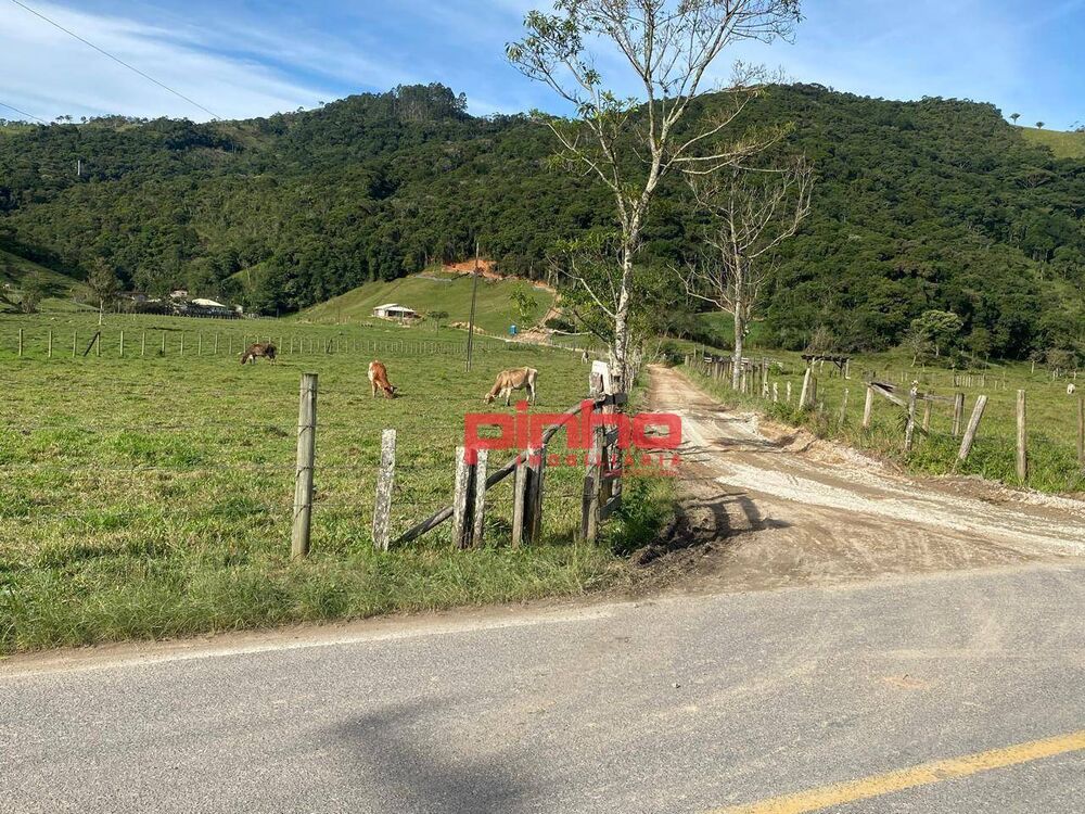 Terreno, 4 hectares - Foto 6