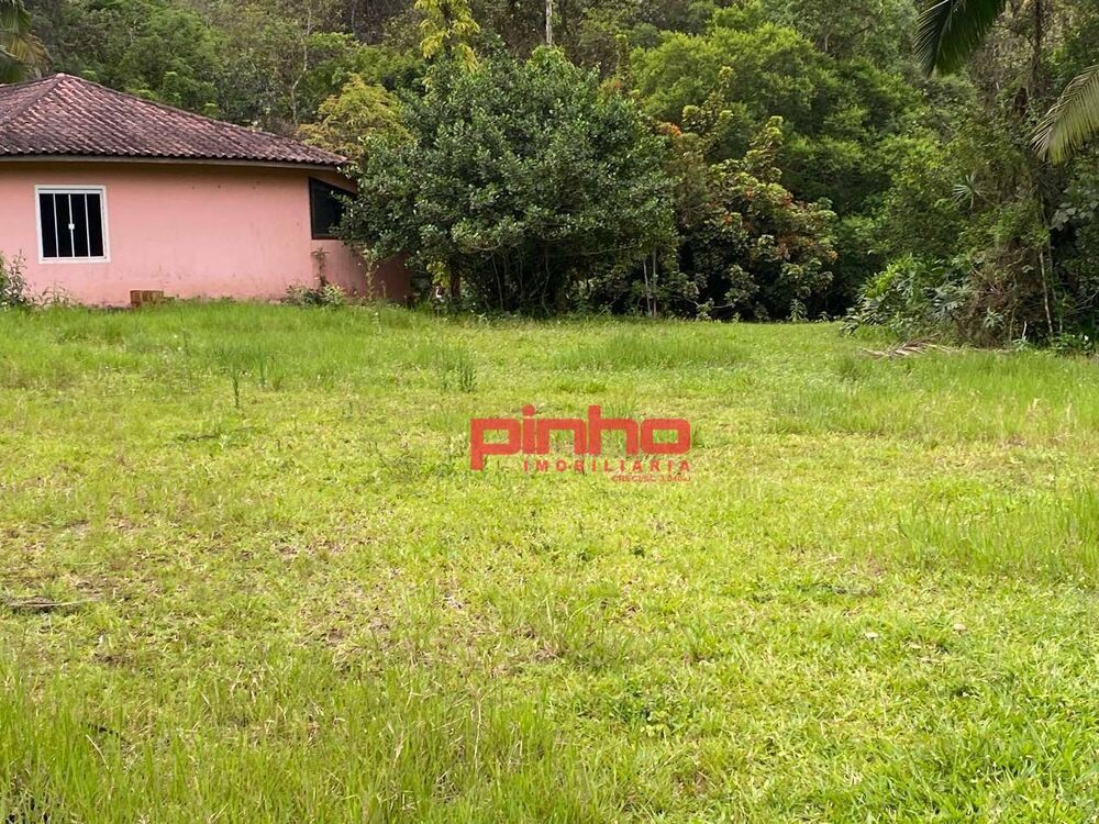 Terreno, 3 hectares - Foto 6