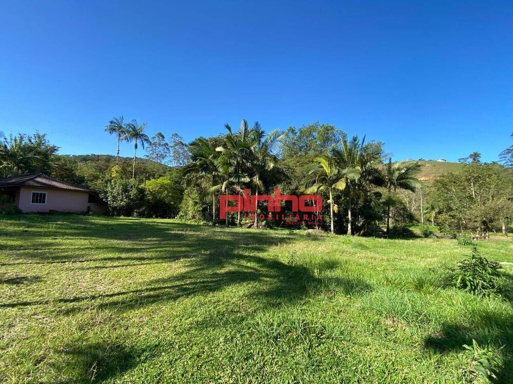 Terreno, 3 hectares - Foto 3