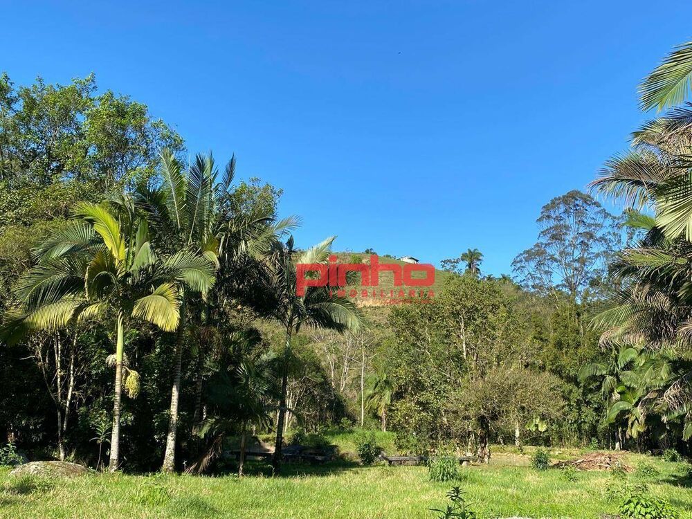 Terreno, 3 hectares - Foto 2