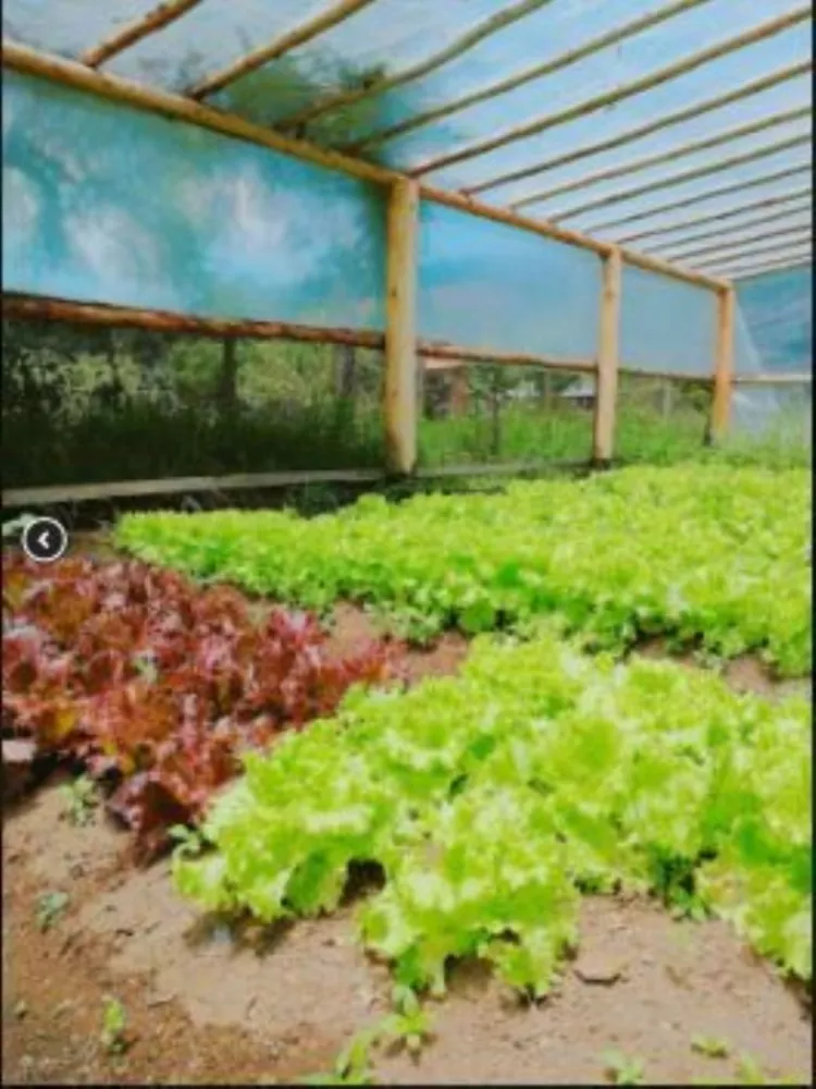 Pousada-Chalé, 7 quartos - Foto 40