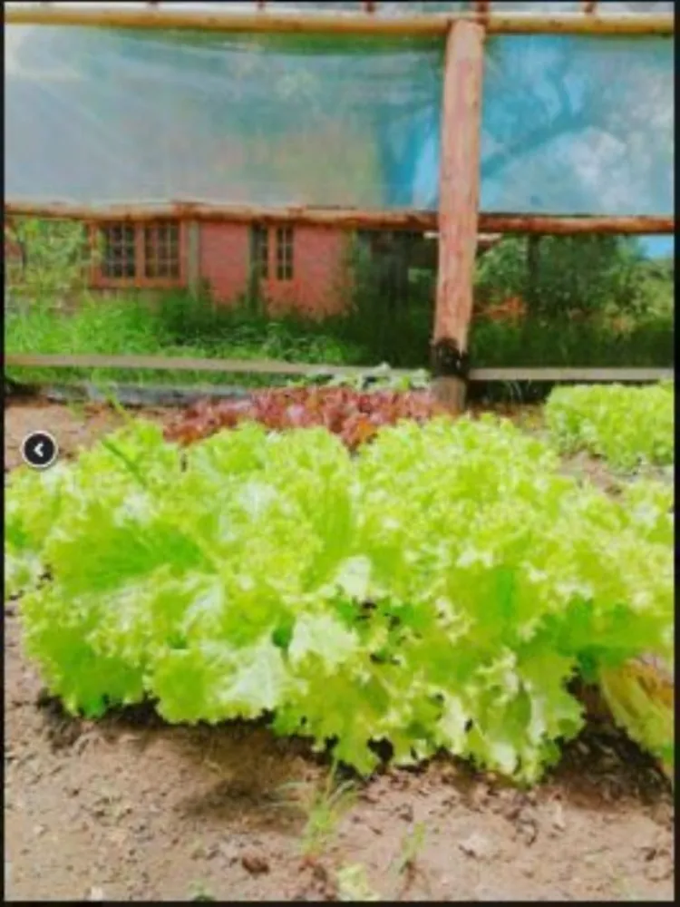 Pousada-Chalé, 7 quartos - Foto 54