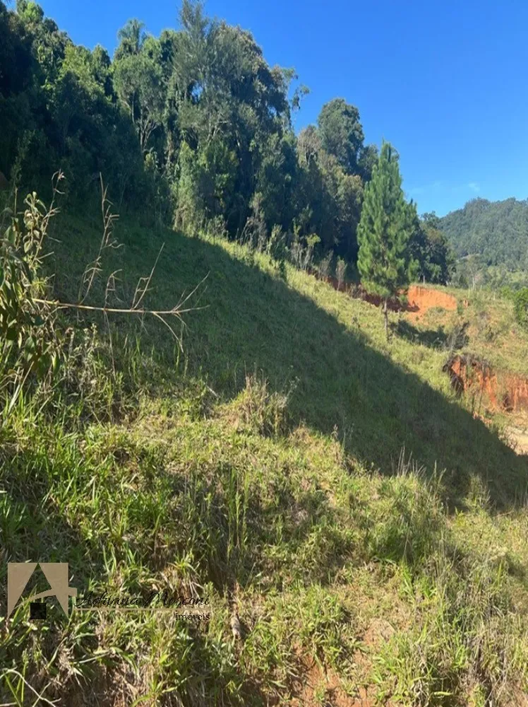 Terreno, 2 hectares - Foto 3
