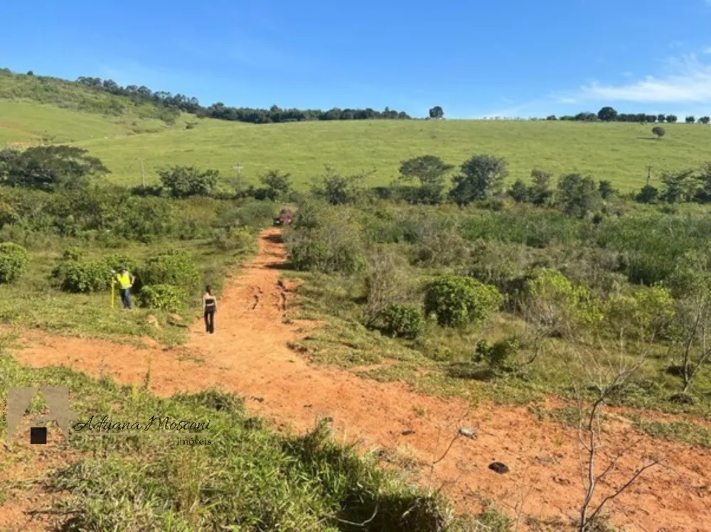 Terreno, 2 hectares - Foto 4