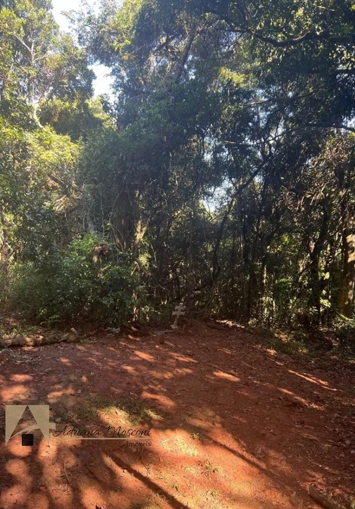 Terreno, 2 hectares - Foto 12