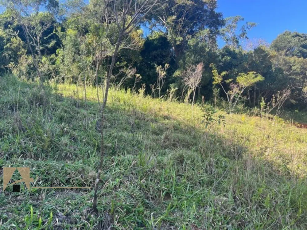 Terreno, 2 hectares - Foto 7