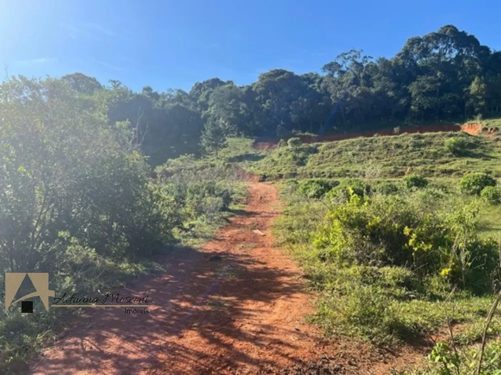 Terreno, 2 hectares - Foto 8