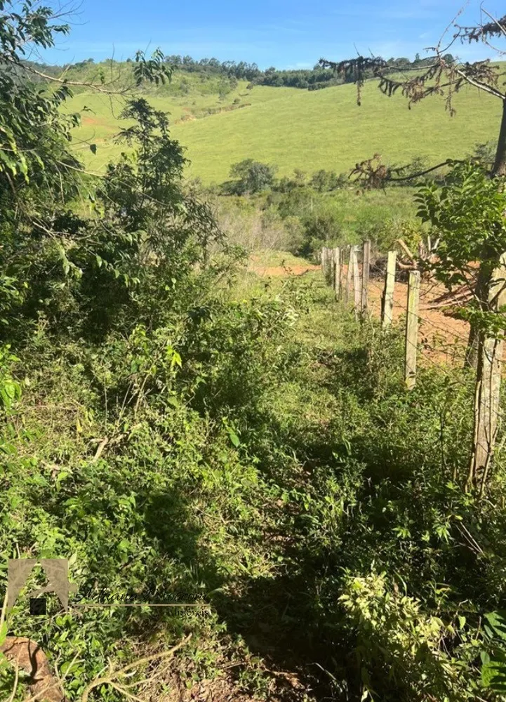 Terreno, 2 hectares - Foto 11