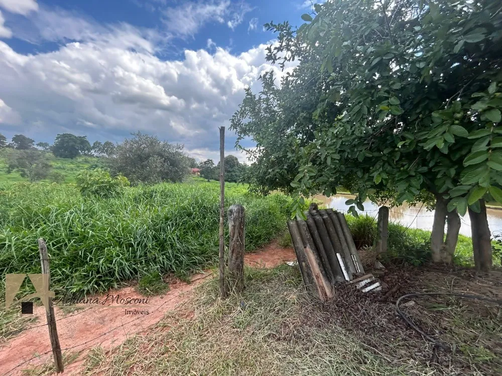 Terreno, 5 hectares - Foto 3