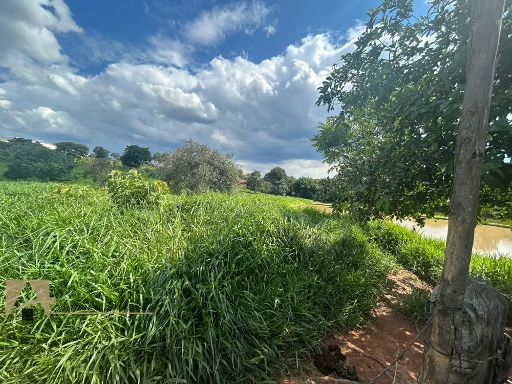 Terreno, 5 hectares - Foto 6