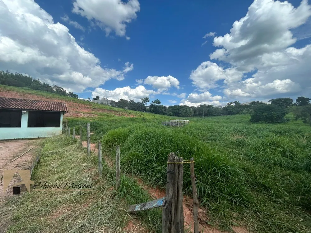 Terreno, 5 hectares - Foto 4