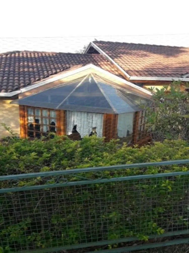 Chácara, 4 quartos, 5000 m² - Foto 16