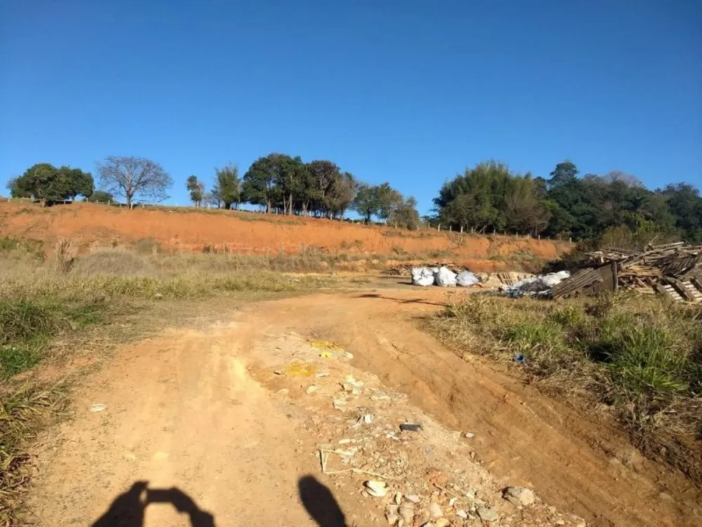 Terreno, 2 hectares - Foto 6