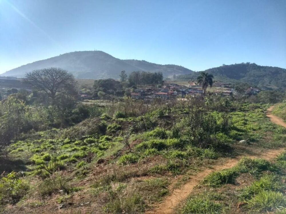 Terreno, 2 hectares - Foto 4