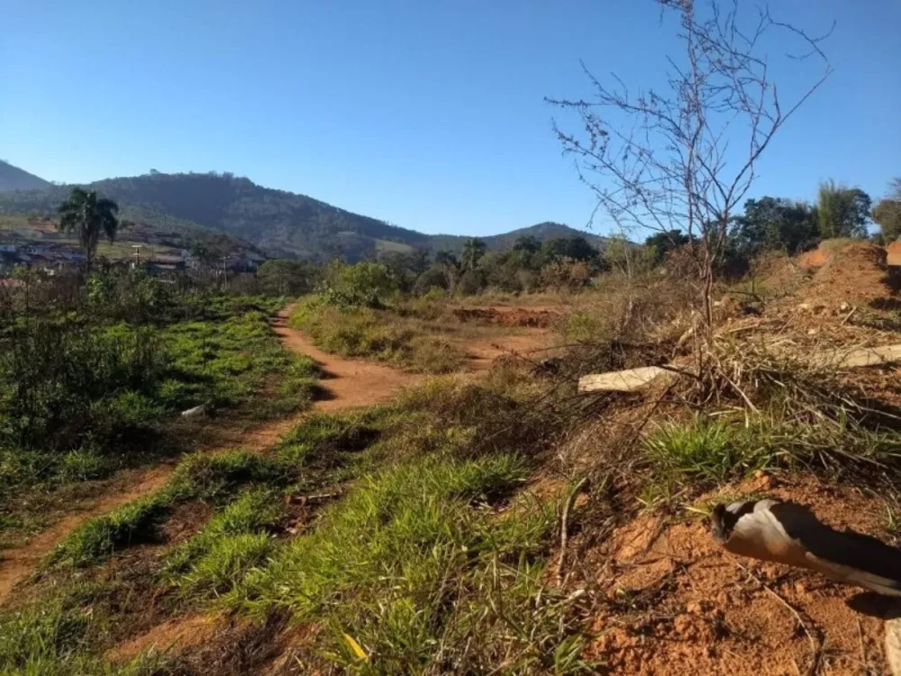Terreno, 2 hectares - Foto 1