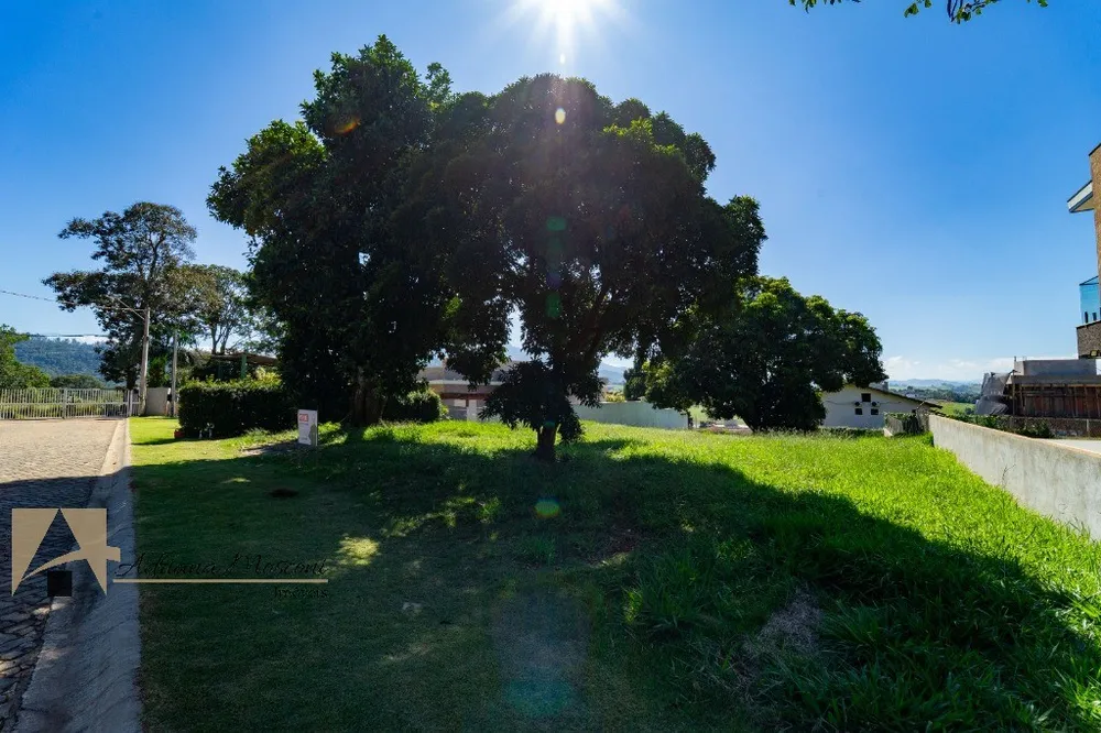 Terreno, 1000 m² - Foto 3