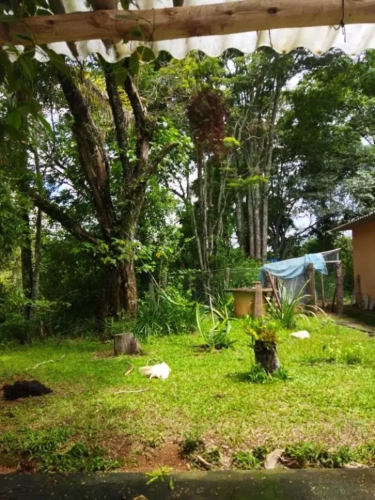 Sítio, 3 quartos, 6 hectares - Foto 33